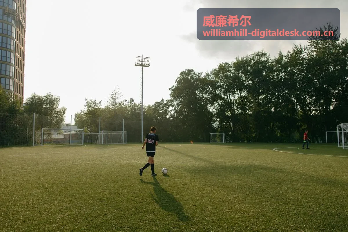 威廉希尔数字桌面数字品牌策略服务